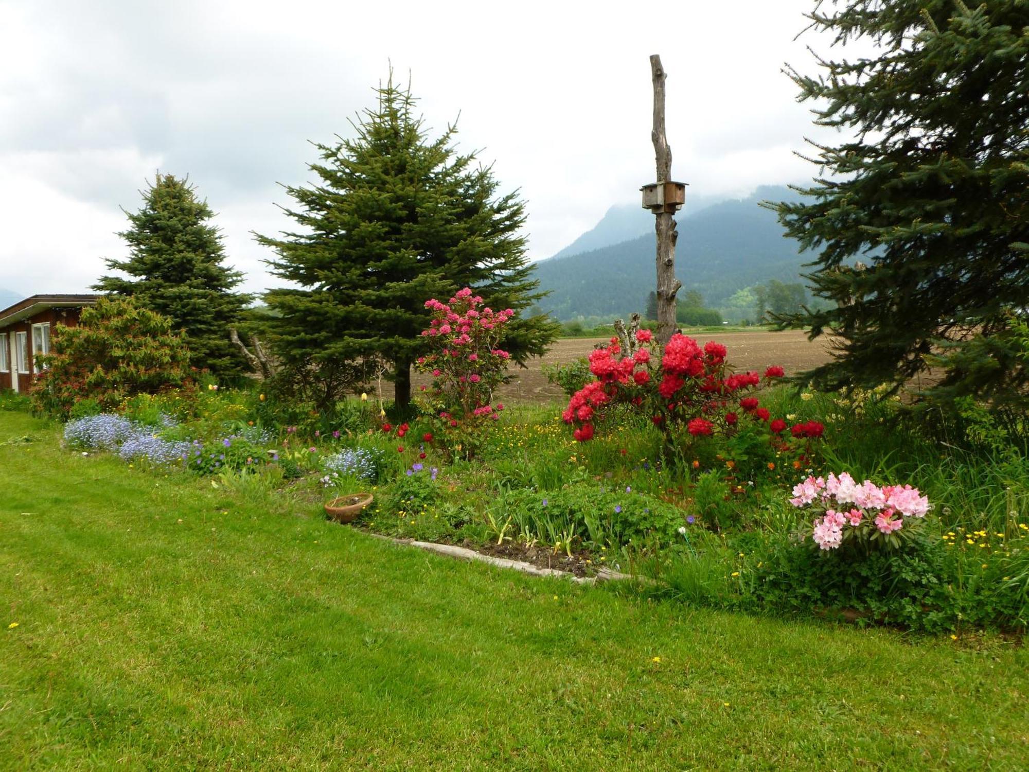 Harrison Hammond House Farmstay Harrison Mills Eksteriør billede